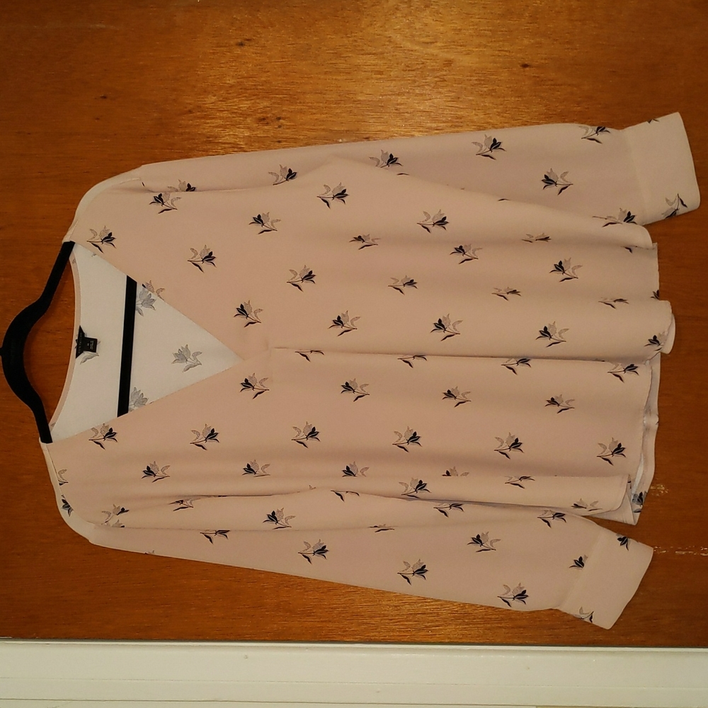 Ann Taylor V-neck Blouse